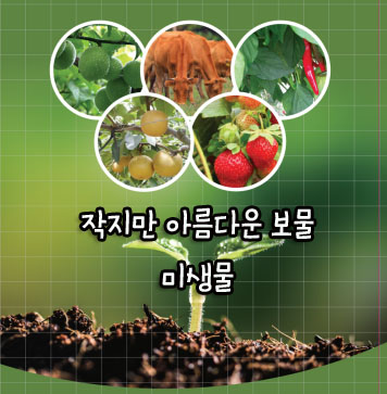흙, 새싹, 과일, 채소, 소, 작지만 아름다운 보물 미생물 텍스트