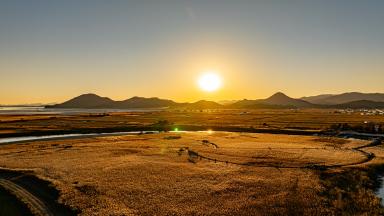 순천만습지 갈대밭