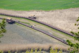 순천만습지 갈대밭