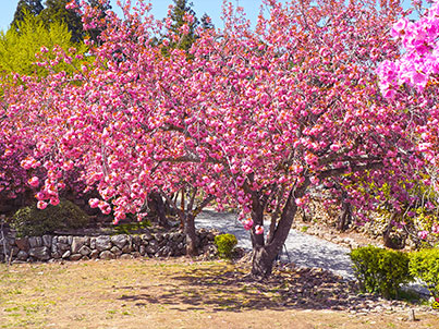 [기획투어]차오르는 봄
