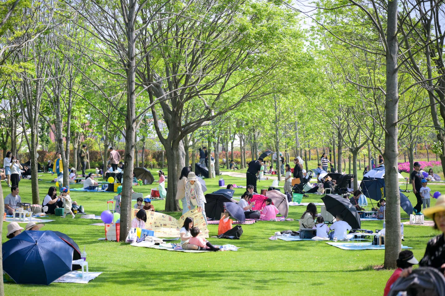  순천시, “정부보다 3년 앞섰다” 선제적 ‘보육 안심망’ 구축- 순천형 영아안심반 전국 확산…정부 정책 확정 -▶정부보다 앞선 ‘순천형 영아안심반’의 성공▶ 보육 현장 인력난 해소, ‘보조교사 20명 추가 지원’▶ 든든한 버팀목 순천시, 어린이집 운영난 해소에 ‘온 힘’▶ 부모 양육부담 경감, ‘재원아동 필요경비 20만 원 인상’▶ 365일 꺼지지 않는 돌봄, 전남형 거점어린이집 2개소 추가 순천시가 저출생 대응을 위한 혁신적 보육 정책을 펼치며 ‘아이 키우기 좋은 도시’의 위상을 강화하고 있다. 시는 정부보다 3년 앞서 도입한 ‘순천형 영아안심반’을 포함해 보조교사 확대, 필요경비 인상, 365일 돌봄 체계 확충 등 선제적 보육안심망을 구축하며 전국 보육정책의 선도모델로 자리잡고 있다. ▶ 정부보다 앞선 ‘순천형 영아안심반’의 성공순천시가 2023년 도입한 ‘순천형 영아안심반’ 사업이 올해 정부의 정책으로 확정돼 전국으로 확대됐다. 정부의 올해 ‘0세반 비율 개선 사업’ 시행으로 순천시 정책의 선도성이 입증됐다는 평가다. 이 사업은 교사 1인당 아동 비율을 법적 기준보다 낮춰 보육교사의 업무 부담은 줄이고 영유아에게는 세밀한 돌봄을 제공하는 모델이다. 0세의 경우 보육교사 1명이 영유아 3명에서 2명을 돌보게 된다. 현재 순천시 내 144개소 어린이집의 346개 반이 영아안심반으로 지정돼 있으며, 시는 연간 24억 8천만 원의 예산을 투입하고 있다. ▶ 보육 현장 인력난 해소, ‘보조교사 20명 추가 지원’시는 보육 현장 인력난 해소를 위해 보조교사 지원도 확대한다. 시는 올해 1회 추경에 시비 1억 9,200만 원을 확보해 현원 20인 이하 소규모 민간․가정 어린이집에 보조교사 20명을 추가 배치한다. 시비를 통한 보조교사 추가 지원은 올해가 처음이다. 이번 지원으로 순천시 내 어린이집 보조교사 인력은 총 316명으로 늘어나며, 추가 배치되는 보조교사는 개소당 월 120만 원씩 8개월간 지원된다. 이를 통해 담임교사의 휴게 시간 확보와 원장 겸임 업무 부담 완화로 보육 서비스 질 향상이 기대된다. 또한 시는 2023년부터 장기근속수당을 도입해 어린이집에 3년 이상 근무한 보육교사 500여 명에게 지원하고 있다. ▶ 든든한 버팀목 순천시, 어린이집 운영난 해소에 ‘온 힘’시는 운영 여건이 열악한 민간․가정어린이집의 폐원을 막기 위해 맞춤형 지원 카드도 꺼내 들었다. 올해부터 어린이집 120개소에 개소당 120만 원씩, 총 1억 4,400만 원을 투입해 소규모 물품 구입비를 지원한다. 아이들이 쾌적한 환경에서 보육 서비스를 받을 수 있도록 했다. 또한, 아동 수 감소로 운영이 어려운 농촌 지역 어린이집 3개소(낙안, 승주, 별량 영현)에는 정부 지원 80%와 시비 20%를 추가 투입해 영아반 교사 인건비를 100% 지원한다. 농촌 지역 보육 공백을 막고, 지역 간 평등한 보육 환경을 조성했다. 아울러 시는 지난해 7월부터 공립·법인 어린이집 21개소 유아반 담임교사 인건비 20%를 시비로 추가 지원하며, 원아 감소로 인한 운영 부담을 완화하고 있다. ▶ 부모 양육 부담 경감 ‘재원아동 필요경비 20만 원 인상’학부모들의 경제적 부담을 실질적으로 덜어주는 대책도 강화됐다. 시는 연간 6,000명의 재원 아동을 대상으로 상․하반기에 걸쳐 총 12억 원의 예산을 투입해 ‘재원아동 필요경비’를 지원한다. 특히 지난해 10월부터 지원금을 20만 원으로 100% 인상하여 학부모들의 큰 호응을 얻고 있다. 필요 경비는 입학 준비금, 특별 활동비, 현장 학습비 등 어린이집 프로그램 운영 시 이용자가 직접 부담해야 하는 비용으로 시는 2023년부터 학부모들의 양육 부담을 덜어주고자 필요 경비 지원 사업을 실시해 오고 있다. 특히 이번 시책은 정부에서 2025년 7월부터 시행중인 누리과정(4~5세) 필요경비 지원(아동 1인당 월 7만 원)과는 별개로 순천시가 추가 지원하는 사업이라는 점에서 큰 주목을 받고 있다. ▶ 365일 꺼지지 않는 돌봄, ‘전남형 거점어린이집’ 2개소 추가순천시는 기존의 ‘24시간 안심 어린이집’과 ‘365일 열린 어린이집’ 운영에 더해 올해 전남형 거점어린이집 2개소를 추가 확충했다. 4월부터 운영되는 거점어린이집은 주말과 공휴일(09:00~18:00)에도 틈샘 돌봄 서비스를 제공하여 맞벌이 부부 등 돌봄 사각지대에 놓인 가정에 큰 힘이 될 예정이다. 거점형 어린이집으로는 샛별 어린이집(석현동), 해다미 어린이집(오천동) 등 2개소가 최종 선정됐다. 이번 선정은 지난 3월 전라남도교육청이 실시한 시범사업 공모를 통해 결정되었으며, 이를 통해 순천시 전역을 아우르는 촘촘한 보육 거점이 마련될 것으로 기대된다. 시 관계자는 “어린이집의 운영난은 결국 보육의 질 저하와 부모들의 양육 부담으로 직결된다”며, “어린이집은 안정적으로 운영되고, 부모는 비용 걱정 없이 아이를 맡길 수 있는 일류 보육 도시를 완성하겠다”고 말했다.