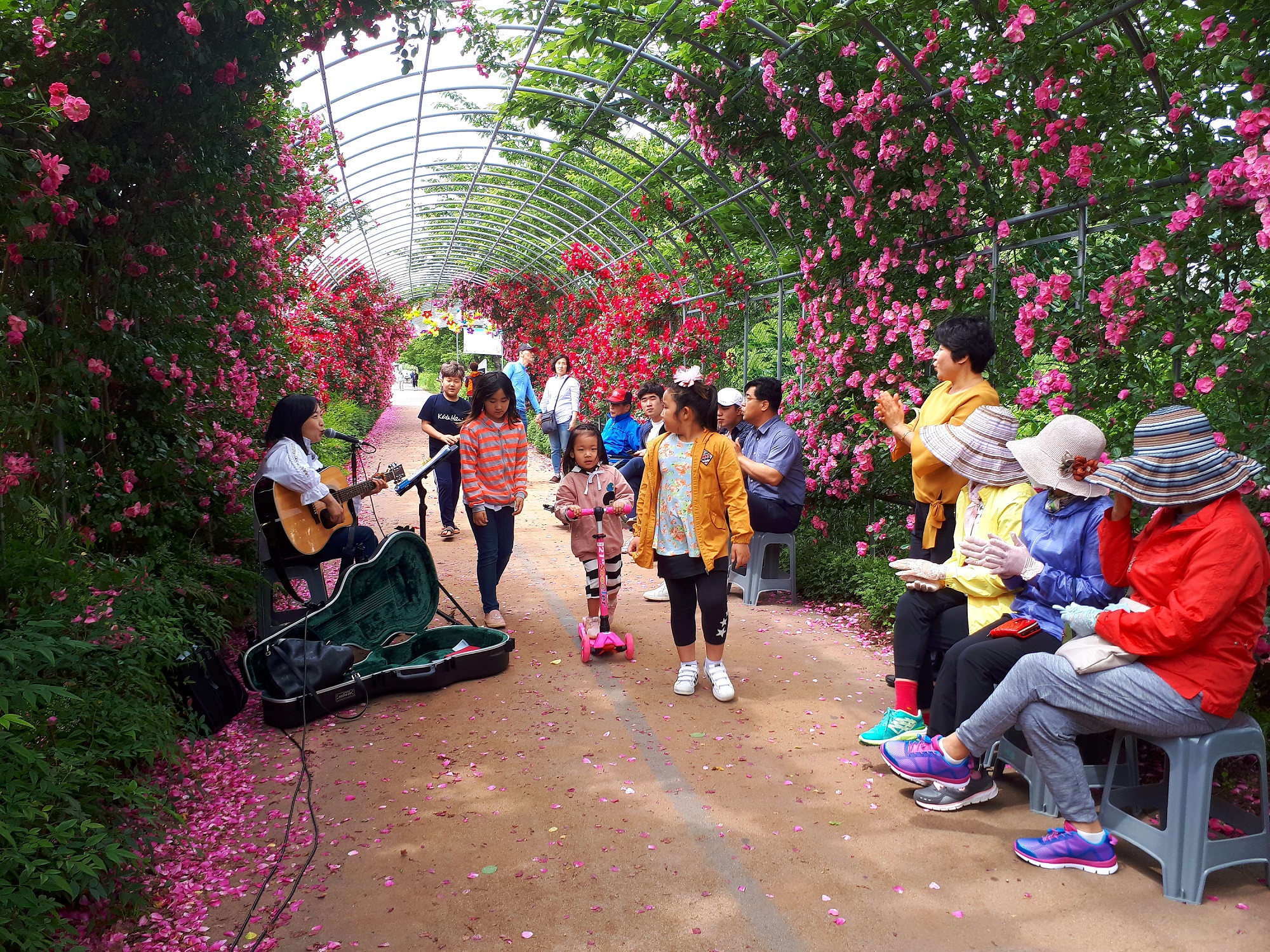 장미축제 사진1.jpg 이미지입니다.