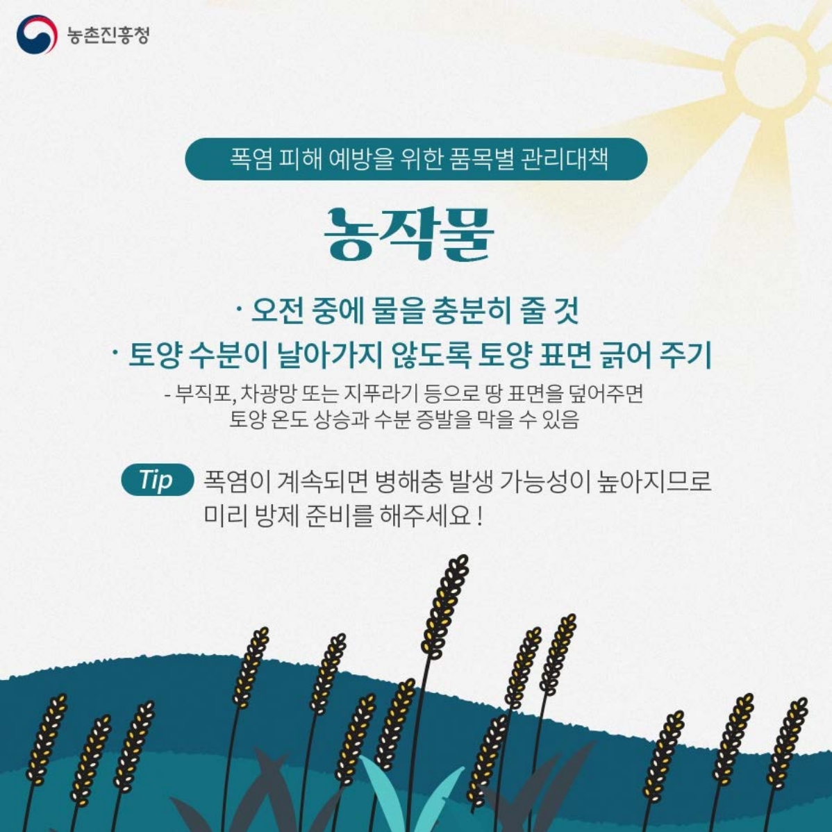 5.jpg 이미지입니다.