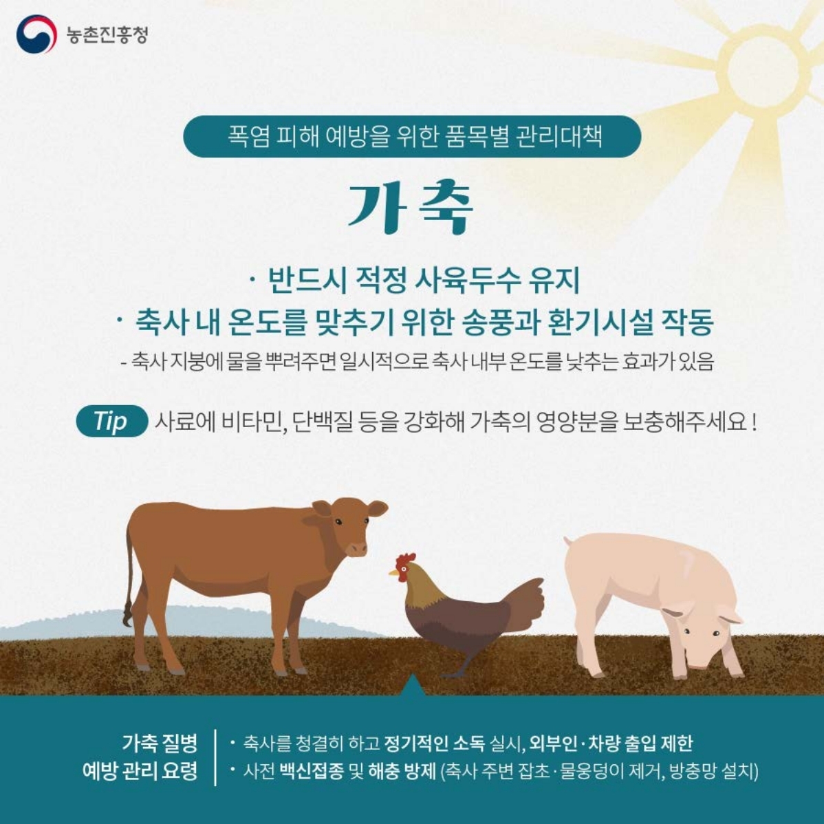 6.jpg 이미지입니다.