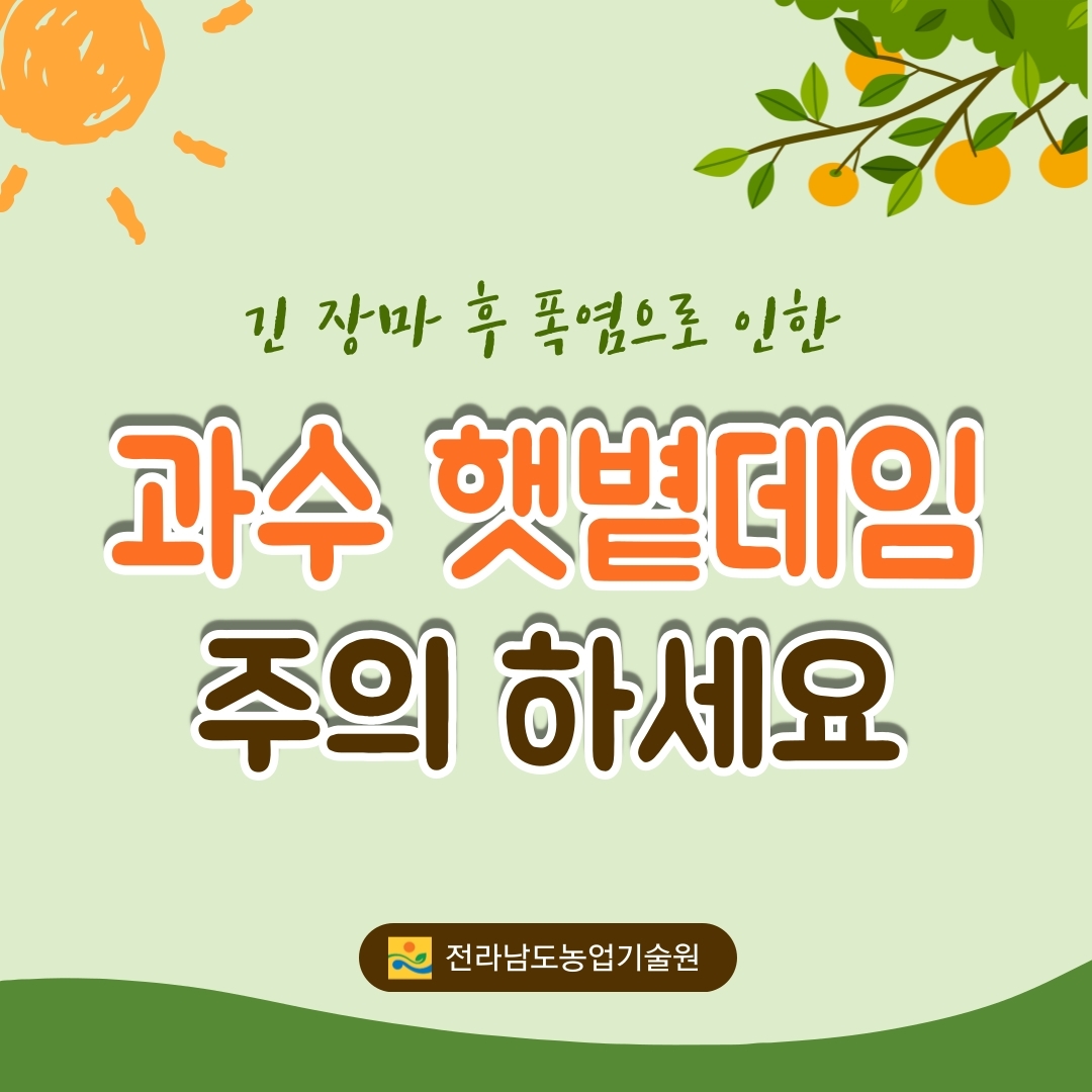 과수 햇볕데임 주의하세요 (1).jpg 이미지입니다.