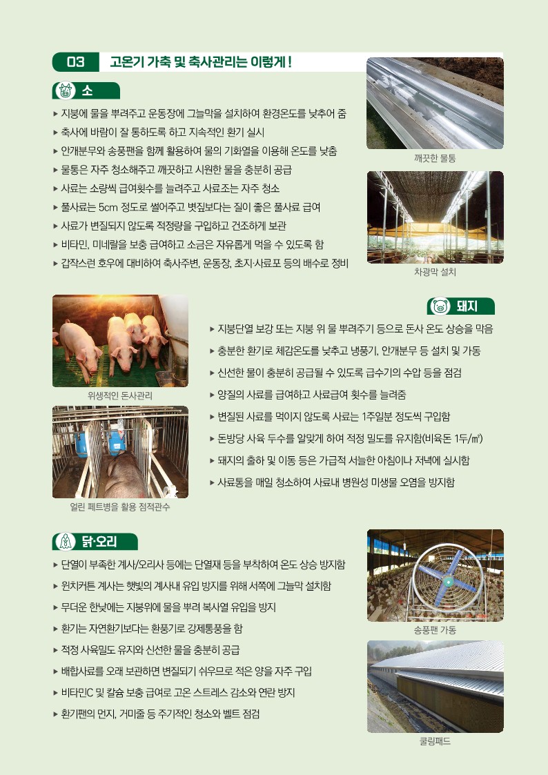 리플릿_여름철 폭염 가축사양 및 위생관리 이렇게_3.jpg 이미지입니다.